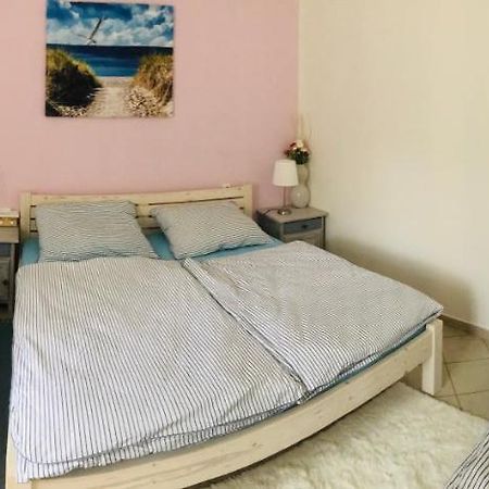Apartman U Reky Srbsko Buitenkant foto