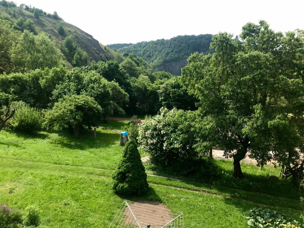 Apartman U Reky Srbsko Buitenkant foto